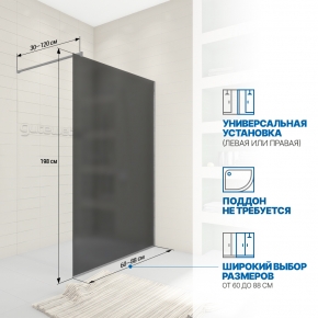 Инфографика 2 WALK-IN P008STB хром матовый стекло графитовое матовое