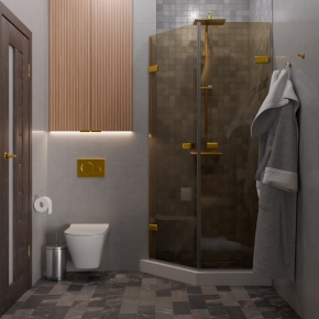 TREND DOOR GK-862G135C золотой металлик стекло бронзовое #4