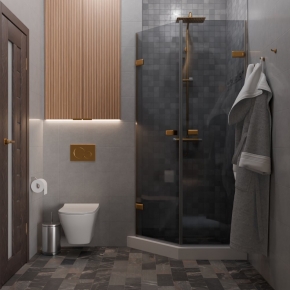TREND DOOR GK-862G135C бронзовый стекло графитовое #4