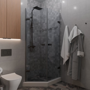 TREND DOOR GK-862G135C черный матовый стекло бесцветное #1
