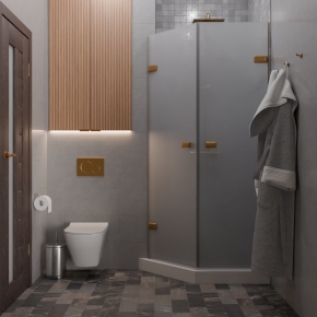 TREND DOOR GK-862G135C бронзовый стекло матовое #4